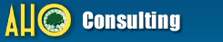 Aho Consulting