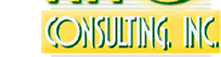 consulting_left.gif (4560 bytes)