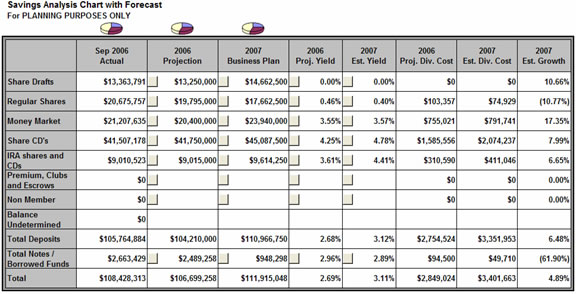 Insight Planning Software for Credit Unions 8